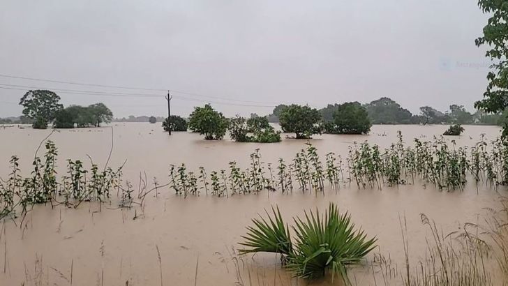 https://salarnews.in/public/uploads/images/newsimages/maannewsimage26092026_173246_drought (1).jpg